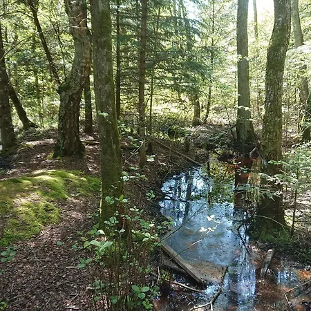 Tatil Evi 6 Person In Bindslev-by Traum *