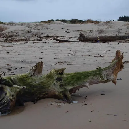 Tatil Evi 6 Person In Bindslev-by Traum