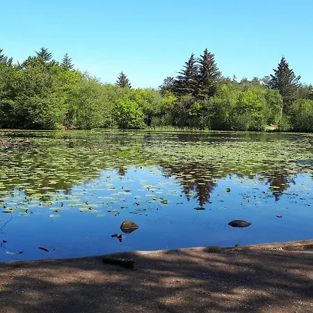 6 Person In Bindslev-by Traum Tatil Evi