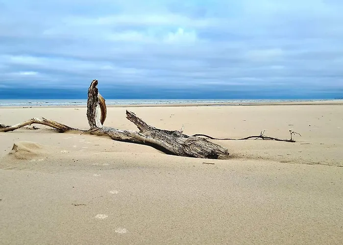 Σπίτι διακοπών 6 Person In Bindslev-by Traum Bindslev