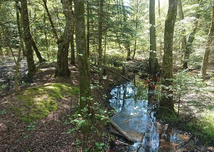 Σπίτι διακοπών 6 Person In Bindslev-by Traum *