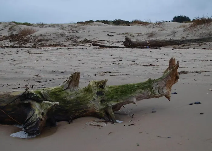 Σπίτι διακοπών 6 Person In Bindslev-by Traum