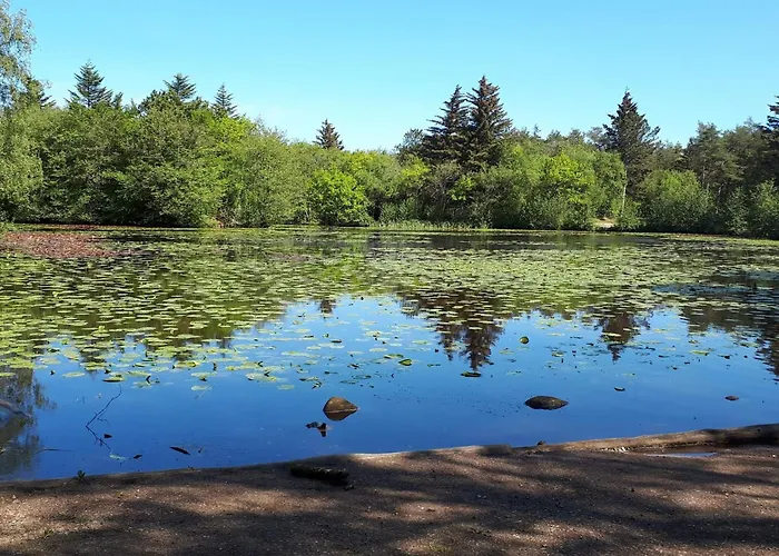 6 Person In Bindslev-by Traum Σπίτι διακοπών