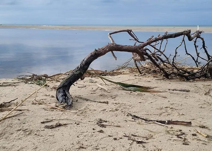 6 Person In Bindslev-by Traum Σπίτι διακοπών